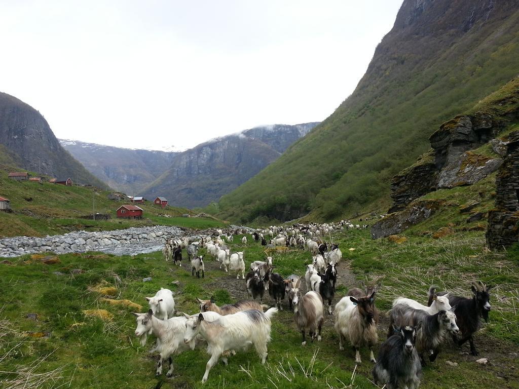 Undredal Gjestehus Hotel Quarto foto