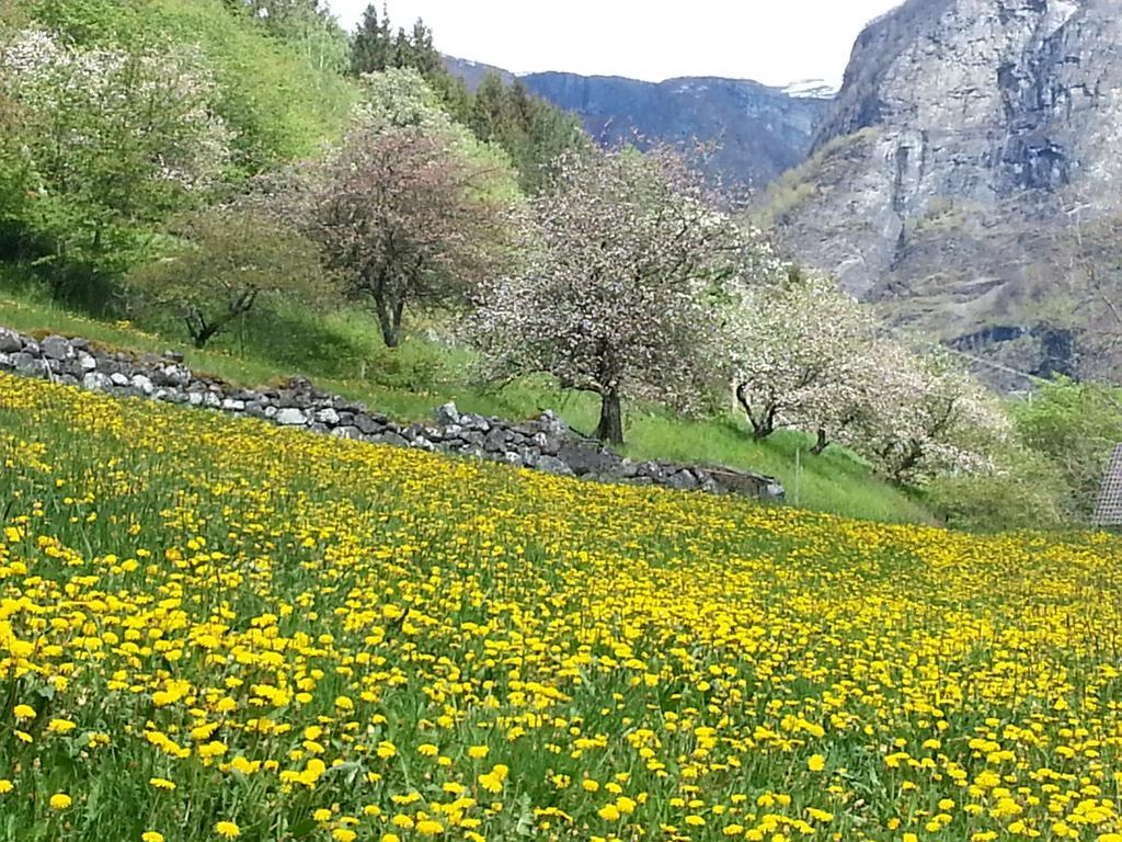 Undredal Gjestehus Hotel Quarto foto